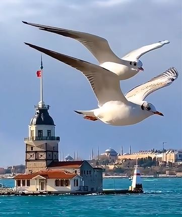 Maiden's Tower istanbul